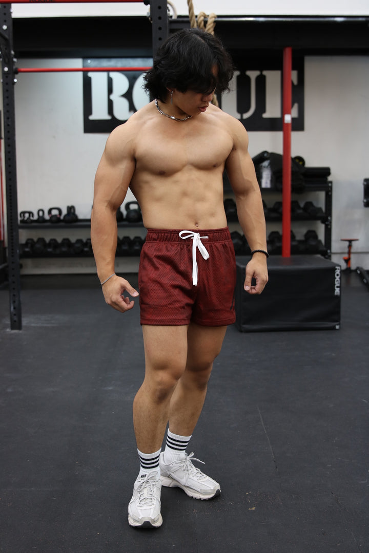 "The Grappler" Fighter Mesh Shorts