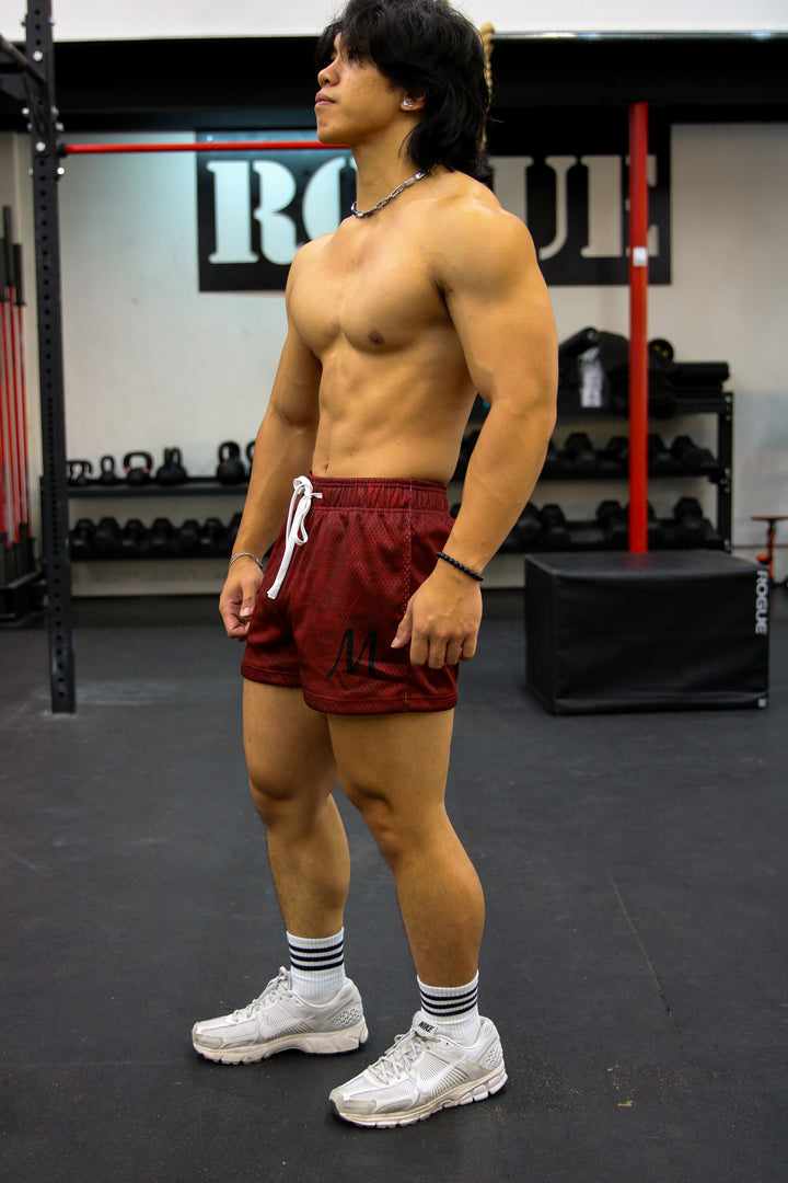 "The Grappler" Fighter Mesh Shorts